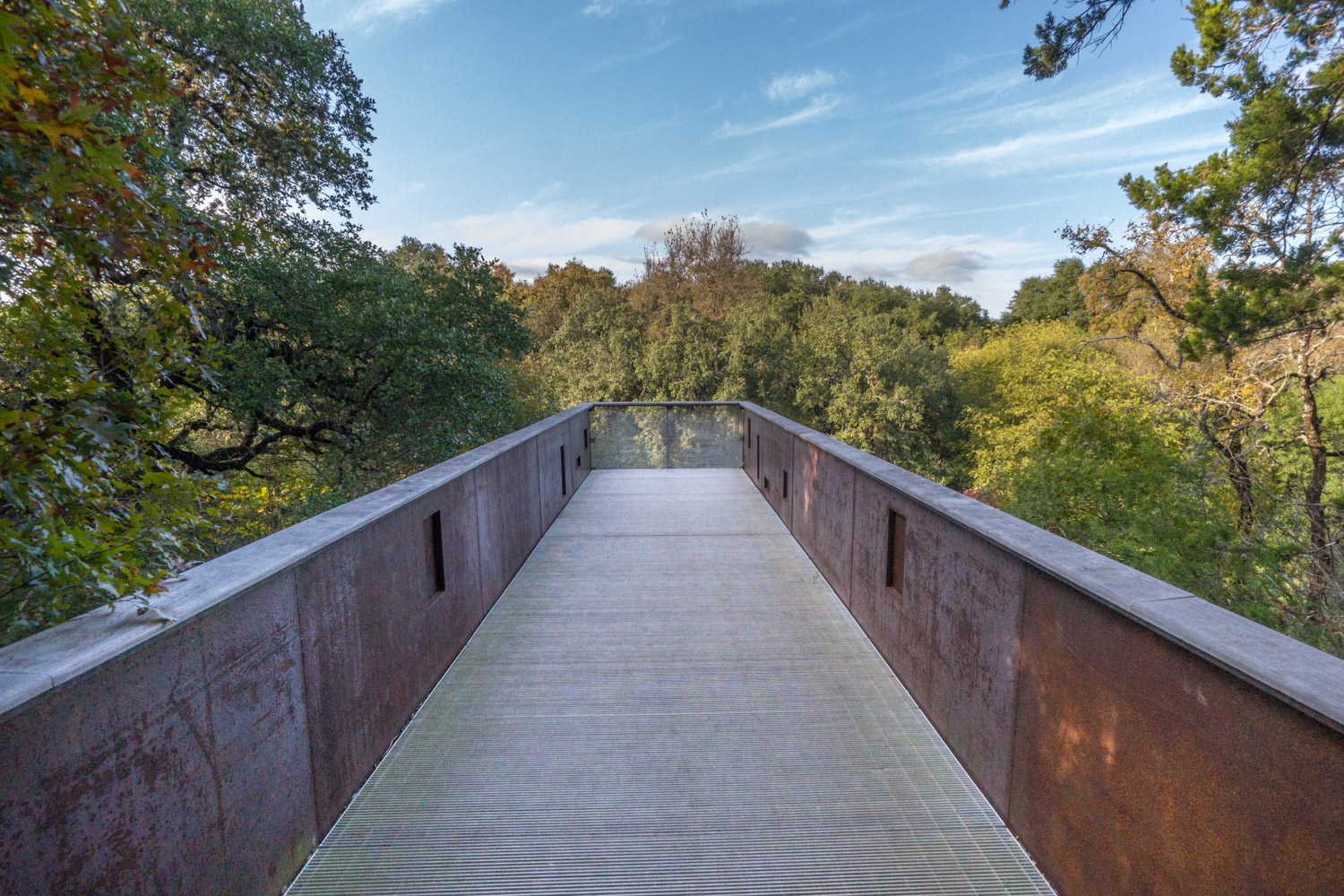 Salado Creek Overlook