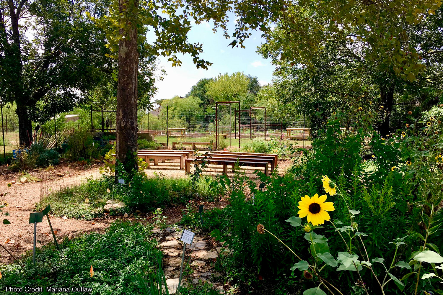 Butterfly Learning Center
