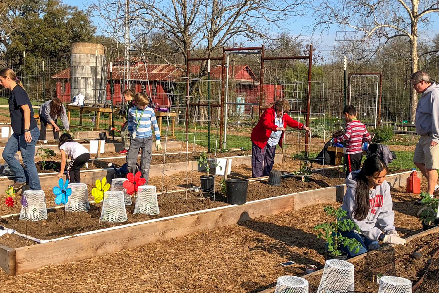 Children's Vegetable Garden