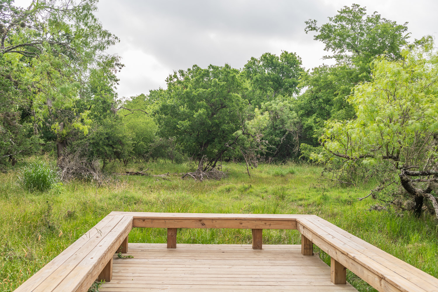 Wetland Restoration Project
