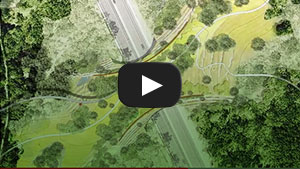 Our Future Land Bridge