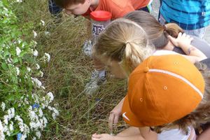 Starting Out Wild: A Program that Introduces Toddlers to Nature