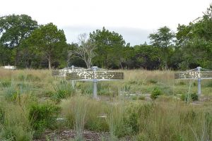 Golden Age in Phil Hardberger Park